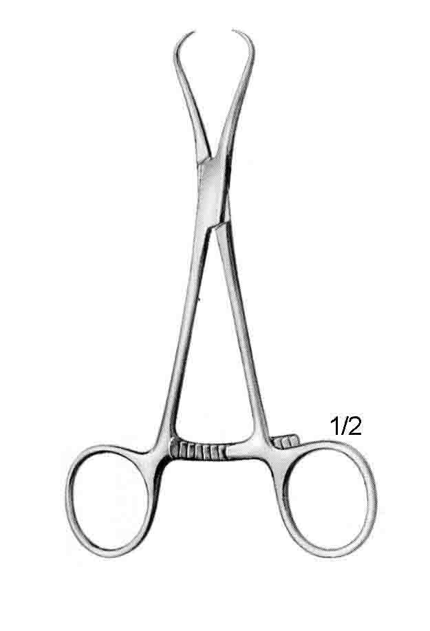 STEINHAUSER KEMİK FORSEPS  13,5CM
